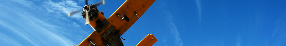 orlandobarrozo.blog.br Rotating Header Image