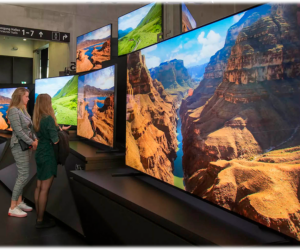 TV prices